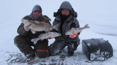 прогноз рыбалки брейтово прогноз рыбалки брейтово