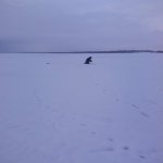 Вчера впервые был на Углическом водохранилище Вчера впервые был на Углическом водохранилище