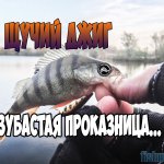 Щучий джиг. Зубастая проказница... +БОНУС