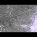 Долго караулила... ОГРОМНАЯ щука кинулась на маленького утенка... (видео 18+) Долго караулила... ОГРОМНАЯ щука кинулась на маленького утенка... (видео 18+)