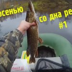 Щука осенью Pike in the fall