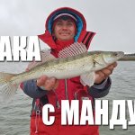 С джигом на речного судака