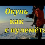 Ловля окуня зимой на блесну. Жерлицы на щуку и налима. Рыбалка в Карелии Ловля окуня зимой на блесну. Жерлицы на щуку и налима. Рыбалка в Карелии