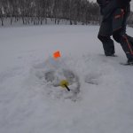 РЫБАЛКА 2020. ПОД СОЛНЦЕМ С ЖЕРЛИЦАМИ И ОКУНЕМ. часть 2. Зимняя рыбалка на окуня и щуку 2020 РЫБАЛКА 2020. ПОД СОЛНЦЕМ С ЖЕРЛИЦАМИ И ОКУНЕМ. часть 2. Зимняя рыбалка на окуня и щуку 2020
