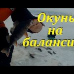 Ловля окуня на балансир Rapala. Жор окуня на жабу. Ловля окуня на балансир Rapala. Жор окуня на жабу.