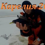 Ловля окуня на балансир. Рыбалка в Карелии 2020. Часть 2 Ловля окуня на балансир. Рыбалка в Карелии 2020. Часть 2