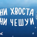 «Ни хвоста, ни чешуи», откуда взялась эта поговорка и что означает