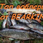 Топ воблер от Bearking.  Ловля щуки и окуня по лапухам.  Спиннинг поздней осенью.