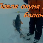 Ловля окуня зимой на балансир. Клёв как с пулемёта ! Ловля окуня зимой на балансир. Клёв как с пулемёта !