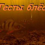 Ловля спортивного окуня на блесну.  Тест зимних блёсен.  Подводная съёмка.