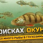 Поиск окуня в глухозимье! Реакция рыбы на камеру. Подводная съемка, узнал где раки зимуют...