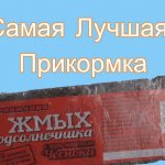 Рыба на жмых. Отличная прикормка.Подлёдная съёмка