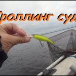 Троллинг.  Ловля судака троллингом с копиями RAPALA Tail Dancer