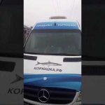 Доставка корюшки по СПб и области