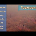 Зимняя блесна Трехгранка - тест классики