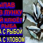Сыпь это в Лунку на Рыбалке Зимой и Вся Рыба Клюёт, Плотва, Елец