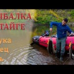 Рыбалка в глухой тайге: вода ушла, а щука осталась