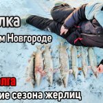 Открыли сезон по щуке на жерлицы. Зимняя рыбалка в Нижнем Новгороде. Первый лед 22 - 23 река Волга
