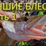 Лучшие блесны на щуку (часть 1). Mepps или Kuusamo?