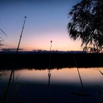 Спонтанный выезд на рыбалку,простая ловля на пружину,РЫБАЛКА осенью 2023г