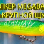 Знакомство с волкером Megabass Giant Dog-X. Трофейная щука рекомендует.