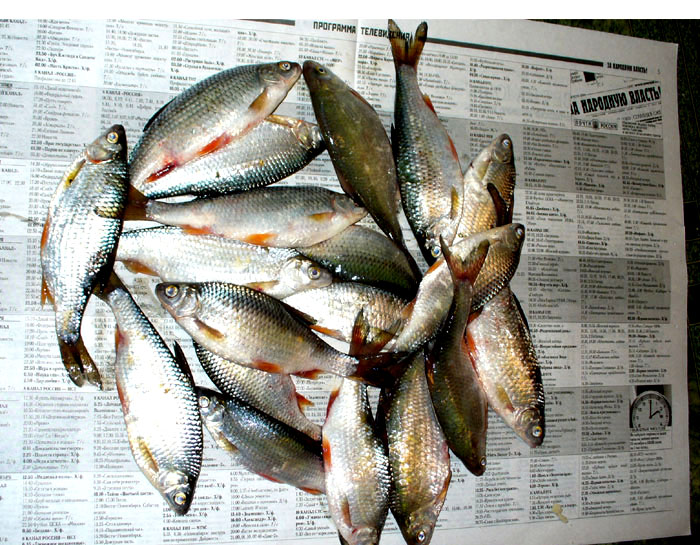 рыбалка на жби рыбалка на жби
