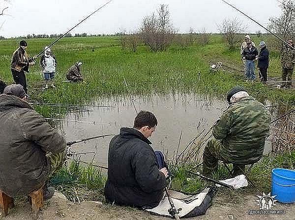 можно ли ловить рыбу на платных прудах можно ли ловить рыбу на платных прудах