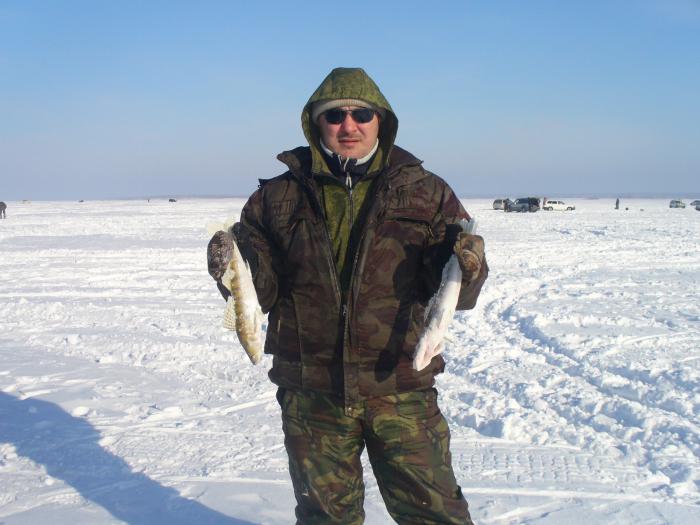вести с водоемов сайт новосибирских рыбаков алтай вести из водоемов сайт новосибирских рыбаков алтай