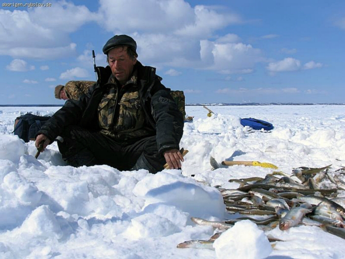 клуб рыбаков на сахалине клуб рыбаков на сахалине