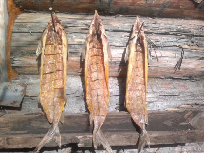рыболовная кулинария рыболовная кулинария