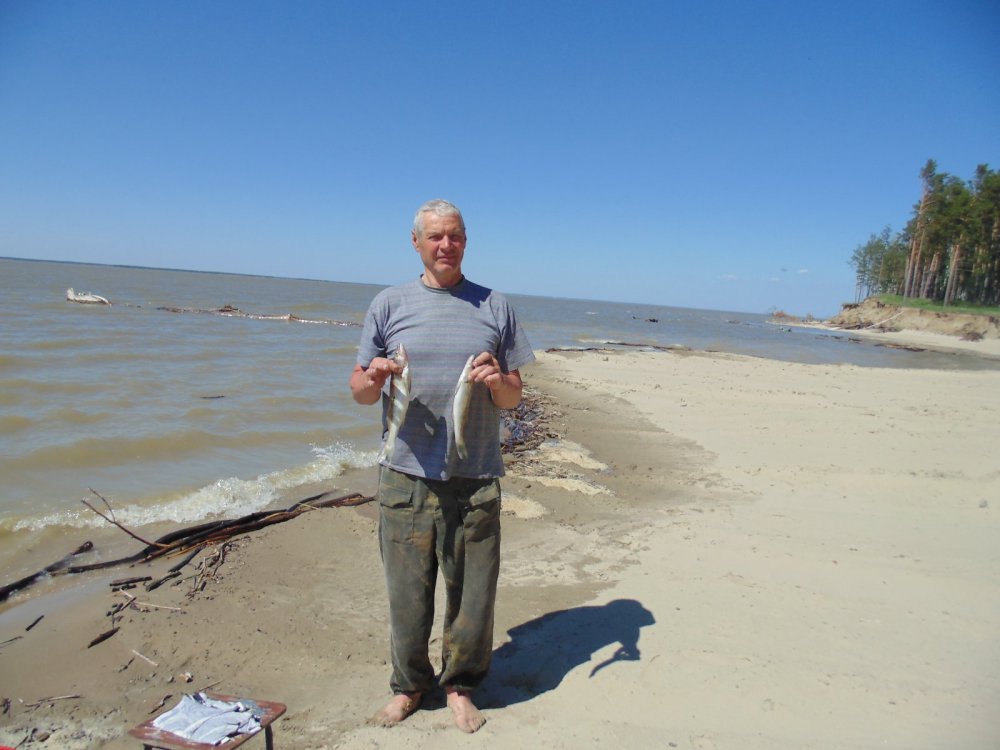 вести с водоемов сайт новосибирских рыбаков алтай вести с водоемов сайт новосибирских рыбаков алтай