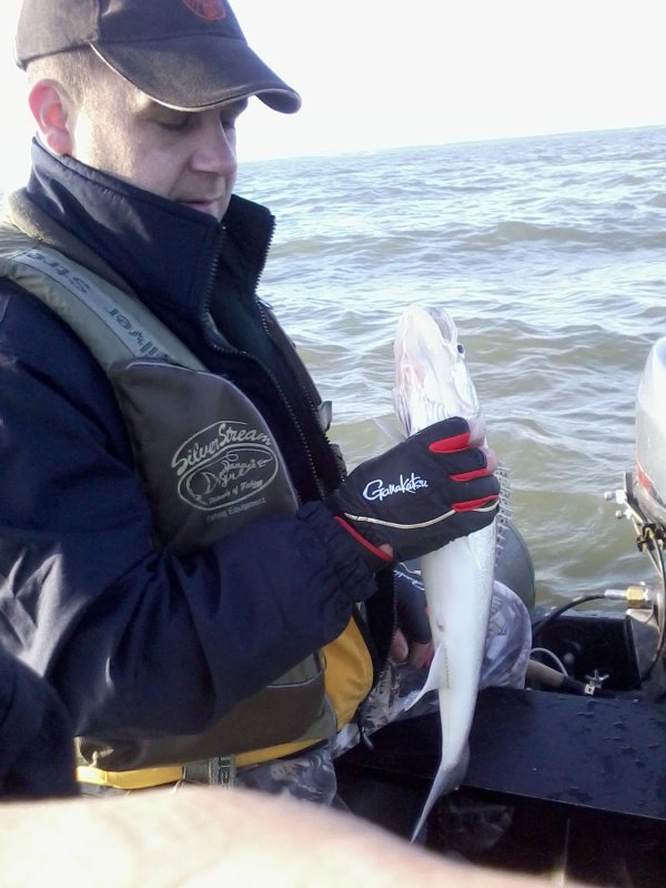 начинающему рыболову на море начинающему рыболову на море
