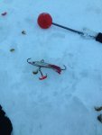рыбалка в зубково рыбалка в зубково