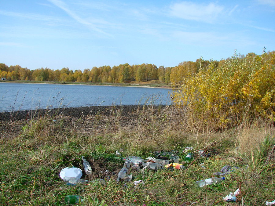 рыбалка в быково раменский район рыбалка в быково раменский район