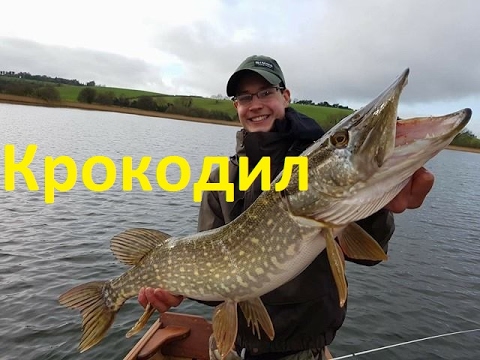 Смотреть в хорошем качестве фильмы воин