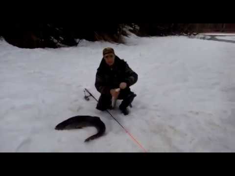 Программа новости подмосковья видео