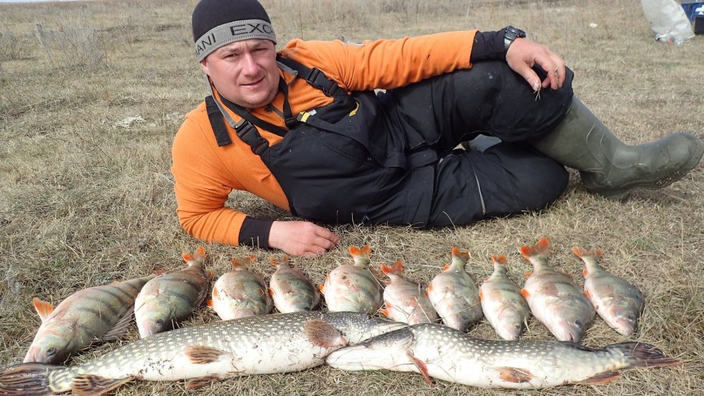ловля хижаков ловля хижаков
