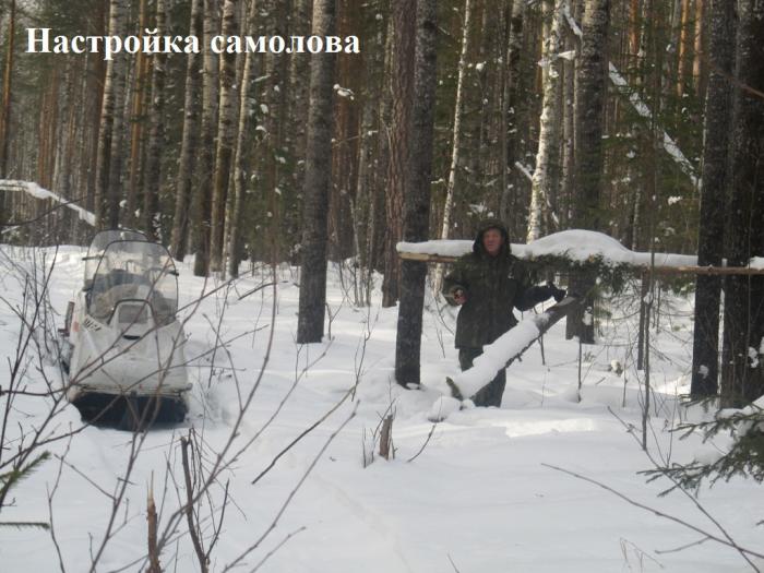 Виды приманок для соболя Виды приманок для соболя