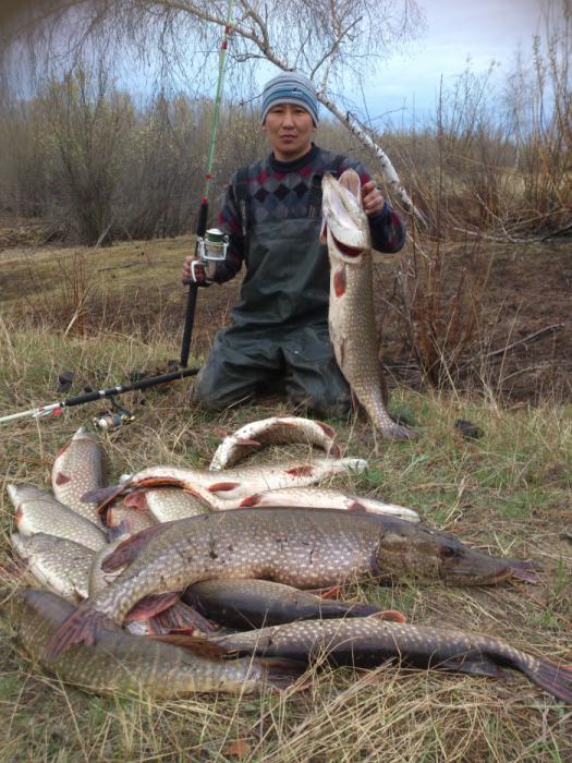 рыбалка в полоцке и новополоцке рыбалка в полоцке и новополоцке