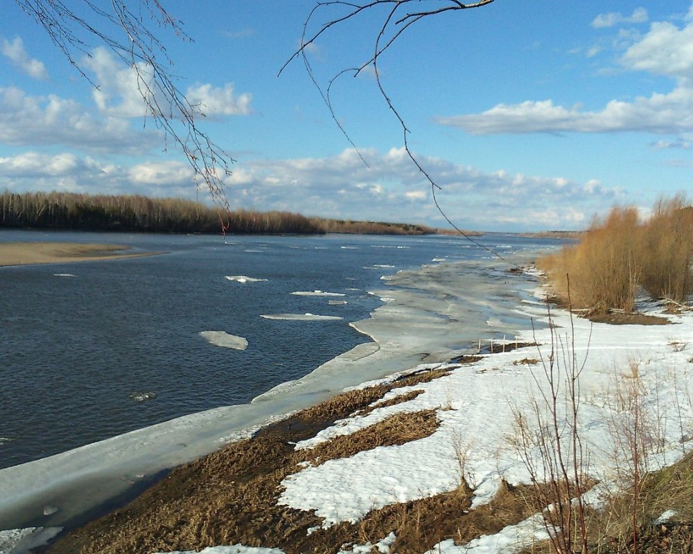 Карта ташара мошковский район