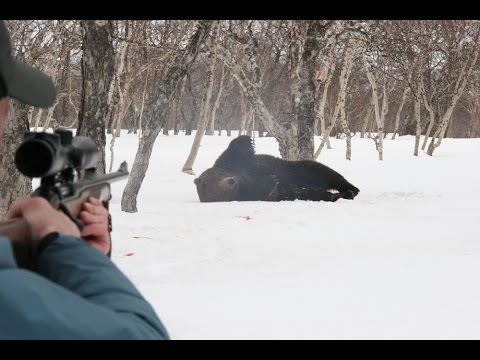Смотреть фильм 216 года в хорошем качестве