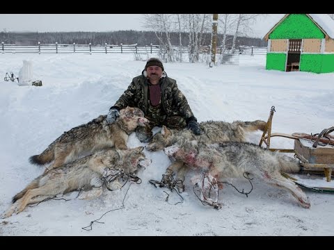 Смотреть фильмы медвежий угол