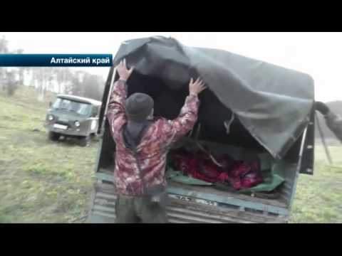 Осторожно блондинка фильм смотреть онлайн 2016