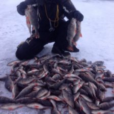 30 кг Рождественского Рыбинского Окуня