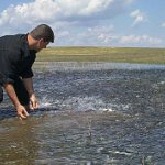 Сброс воды в Астраханской области откладывается на неделю