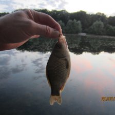 Сейчас на Терлецких