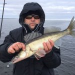 Рыбинка и новый рыболовный уровень)
