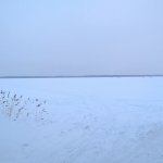 Сегодня Иванька-Новосельский залив
