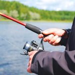 Запрет на рыбалку 2018 в Ростовской области