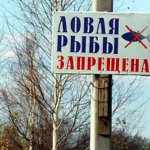 Нерестовый запрет 2018 в Тверской области
